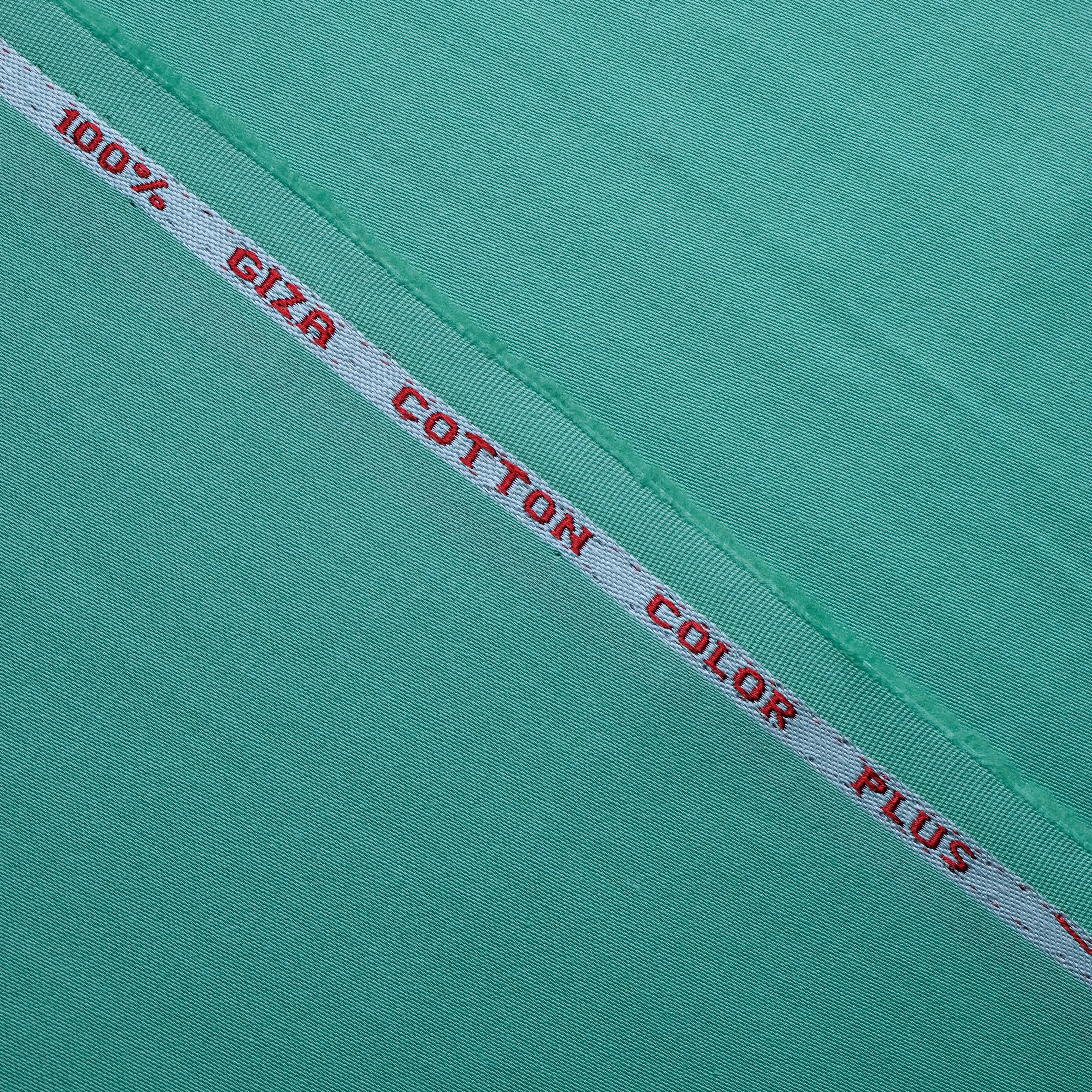 Light Green Pure 100% Egyptian Giza Cotton Fabric